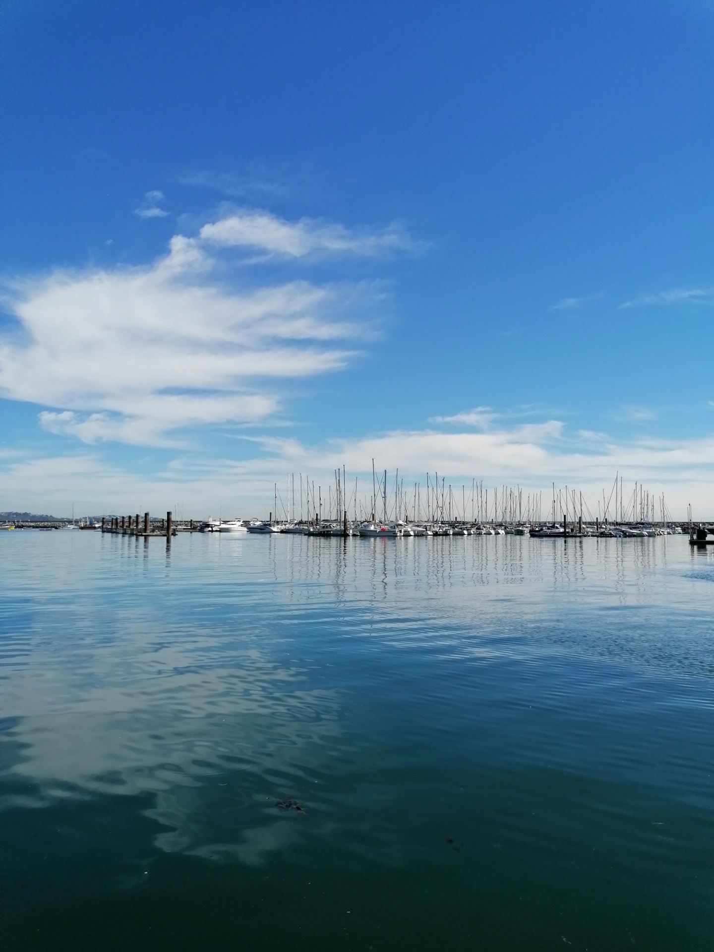 Photo Gallery Carters Cove